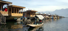 Kashmir