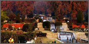 Shalimar Bagh